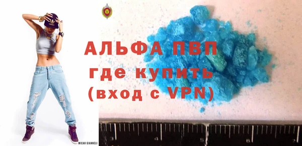 твердый Туринск