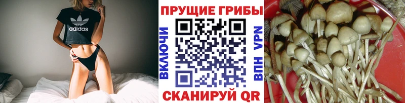 Псилоцибиновые грибы MAGIC MUSHROOMS  Купить  Усмань 